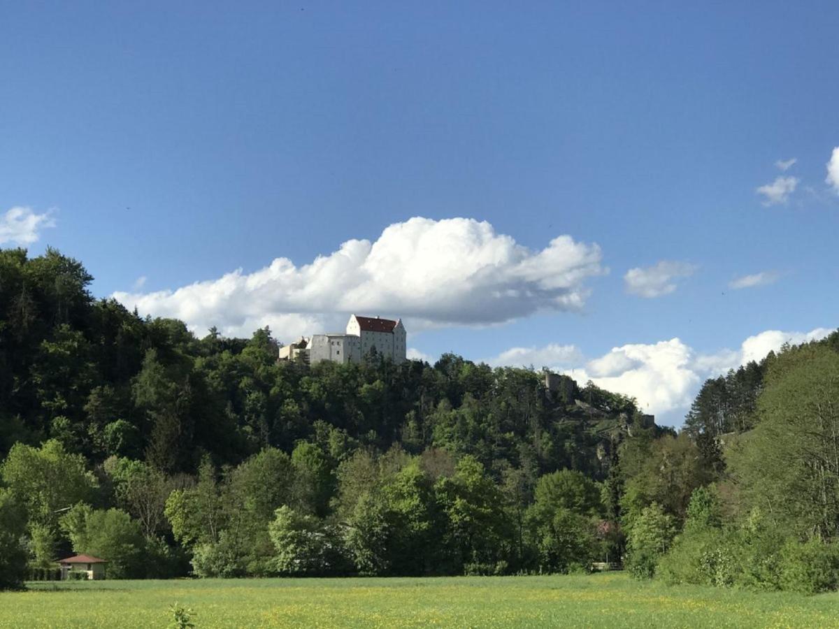 Ferienchalet Burgenblick 里登堡 外观 照片