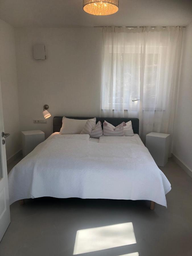 Ferienchalet Burgenblick 里登堡 外观 照片